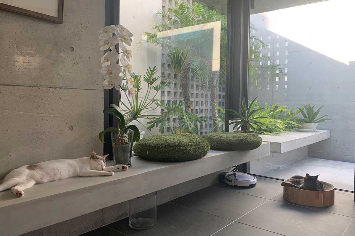 株式会社エー・アール・ジーの建築作品